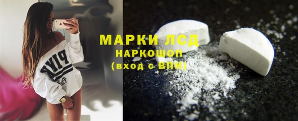 СК Инта