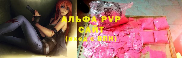 бошки Иннополис