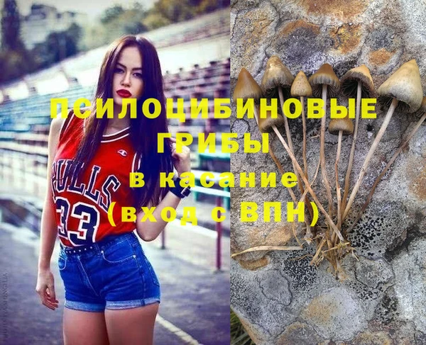 скорость Зеленокумск