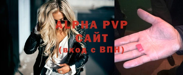 сатива Каменка
