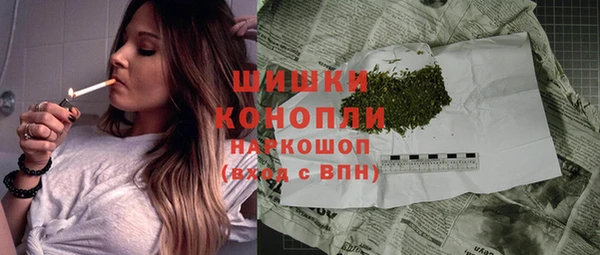 сатива Каменка