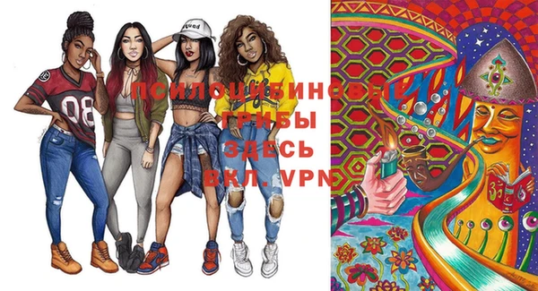 spice Чегем