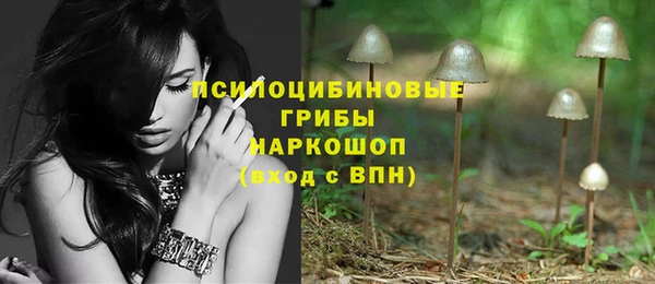 винт Чекалин